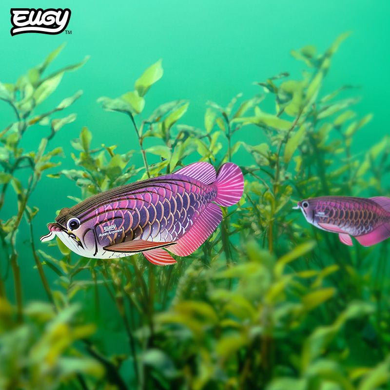 3D puzzle: Asian Arowana, EUGY