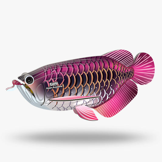 3D puzzle: Asian Arowana, EUGY