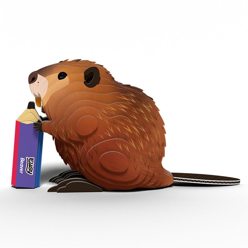 3D puzzle: Beaver, EUGY