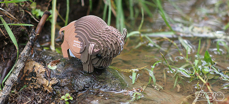 3D puzzle: Bison, EUGY