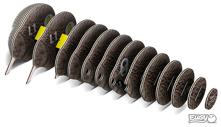 3D puzzle: Kiwi, EUGY