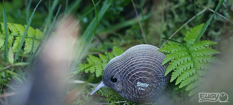 3D puzzle: Kiwi, EUGY