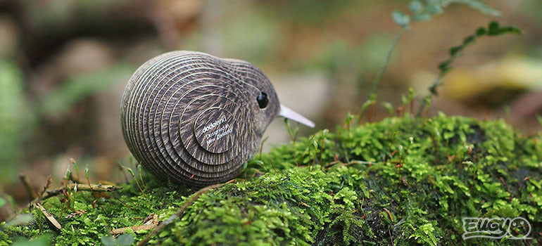 3D puzzle: Kiwi, EUGY