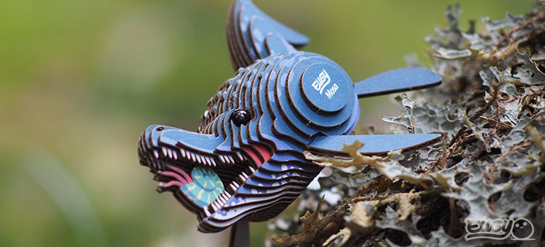 3D puzzle: Mosa, EUGY