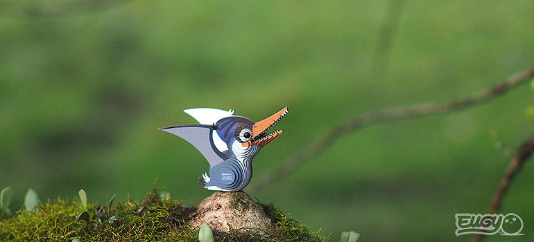 3D puzzle: Ptero, EUGY