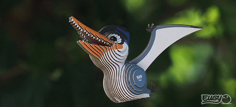 3D puzzle: Ptero, EUGY