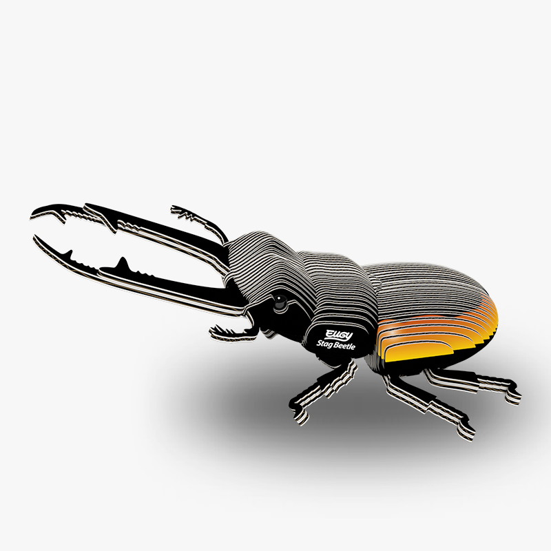 3D puzzle: Stag Beetle, EUGY