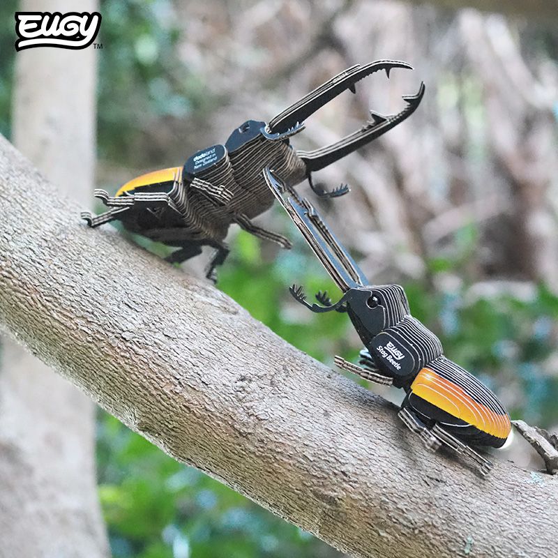 3D puzzle: Stag Beetle, EUGY