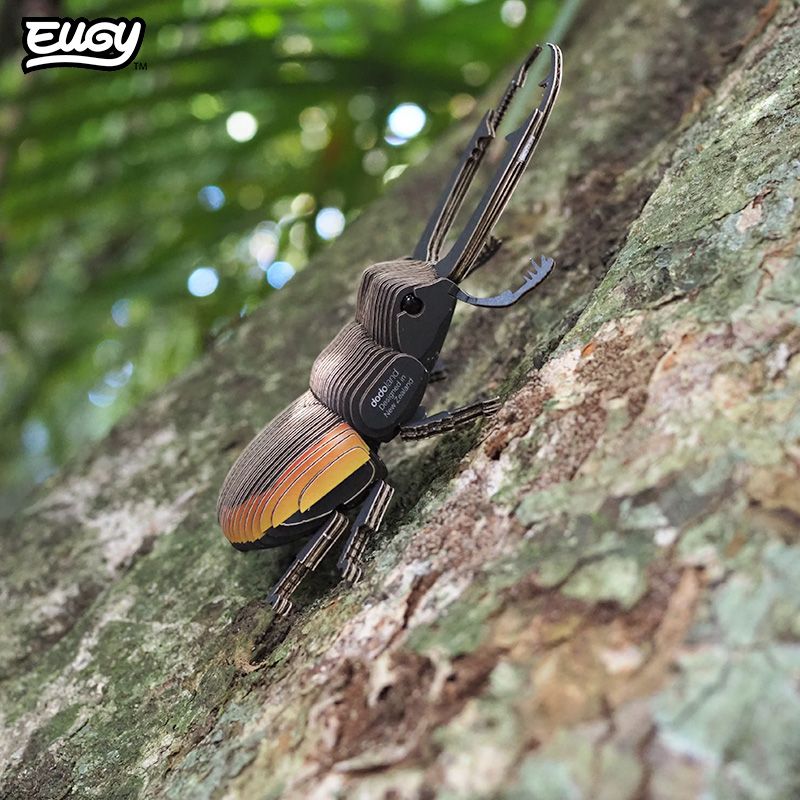 3D puzzle: Stag Beetle, EUGY