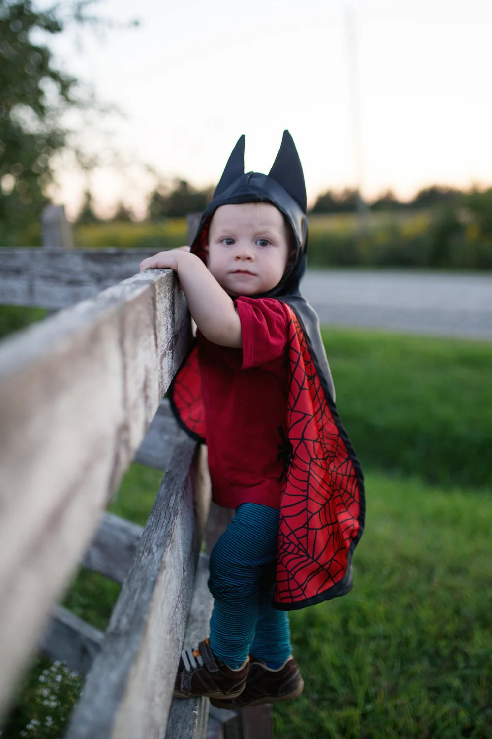 Reversible Spider And Bat Cape, Halloween Costume For Kids
