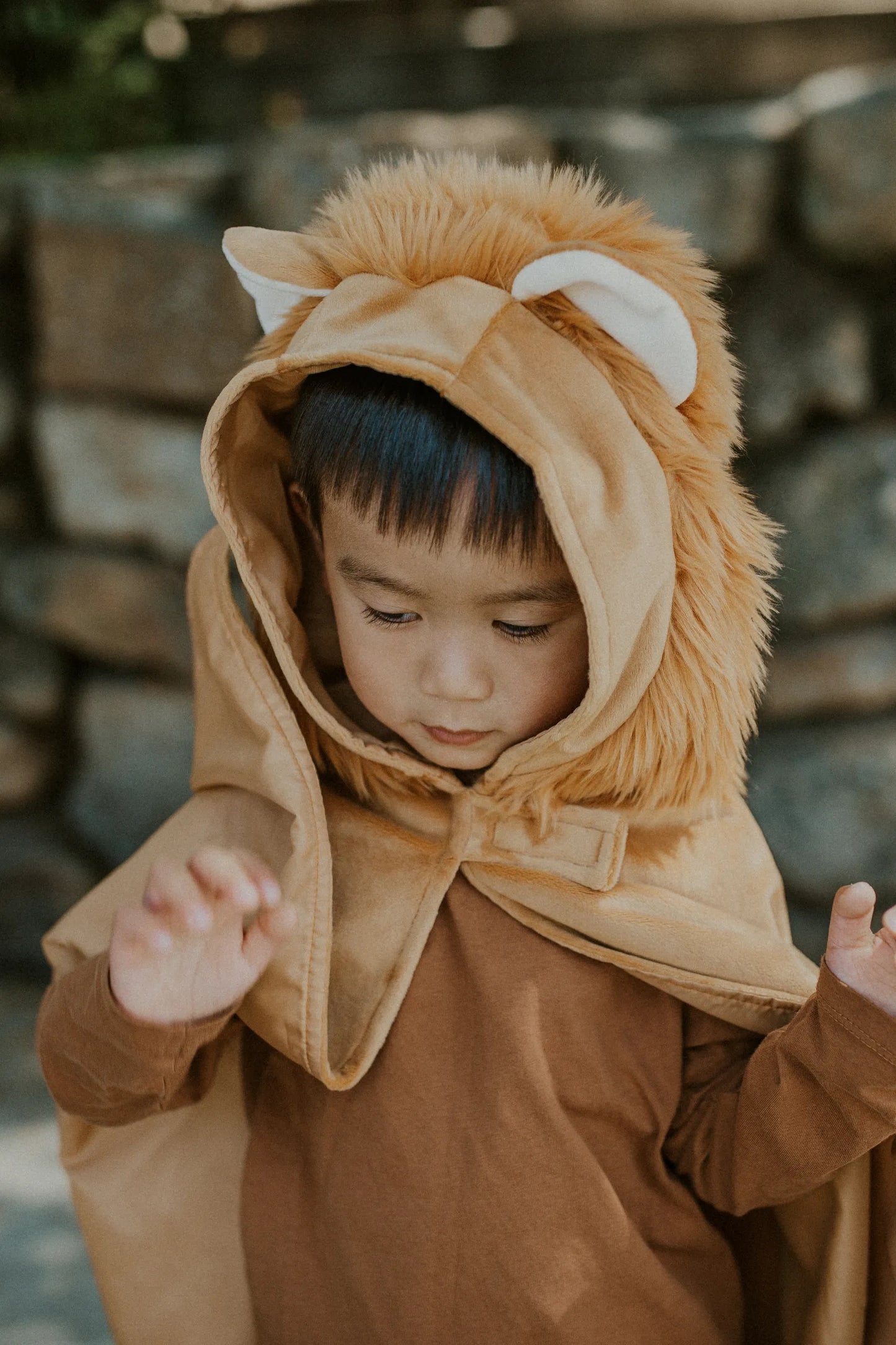 Toddler Lion Costume Cape, For Kids 2-3