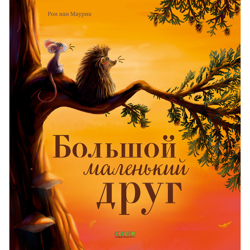 Книжки-картинки. Большой маленький друг: Маурик ван Рон