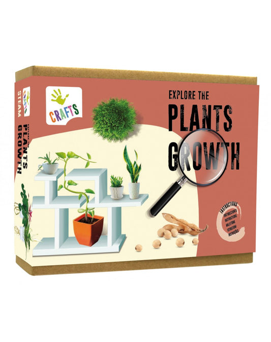 Explore Growth of Plants