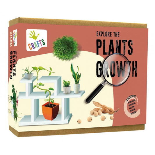 Explore Growth of Plants, Andreu Toys