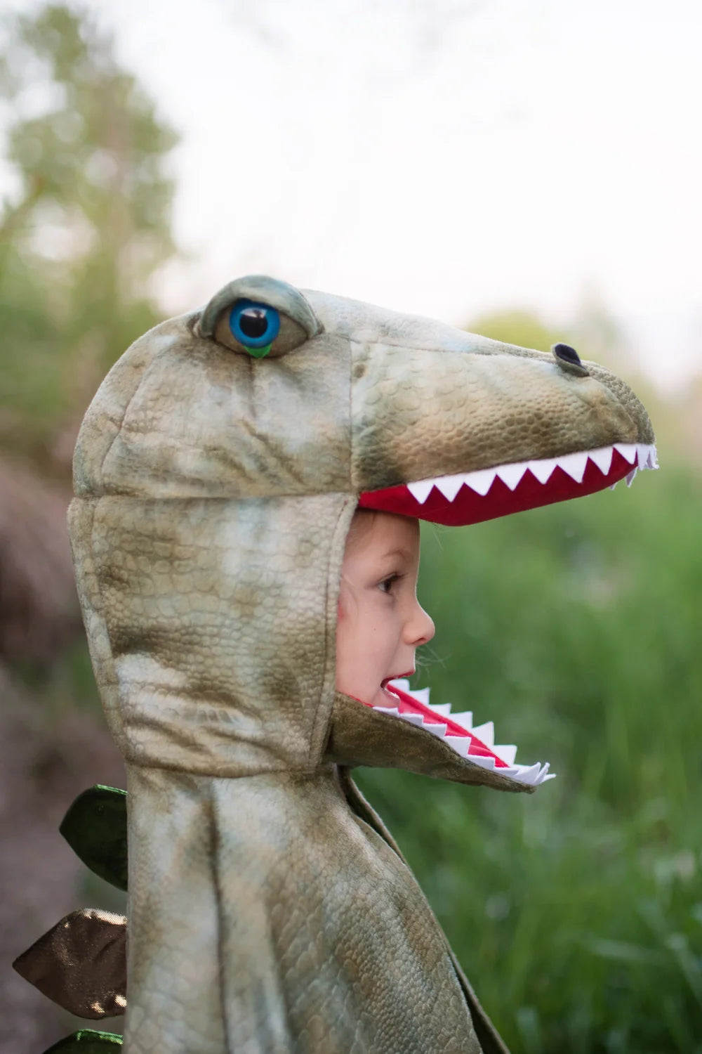 Grandasaurus T-Rex Cape With Claws, Dinosaur Costume For Kids