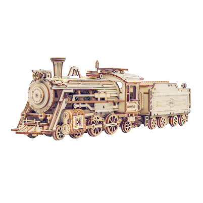 ROKR Prime Steam Express MC501