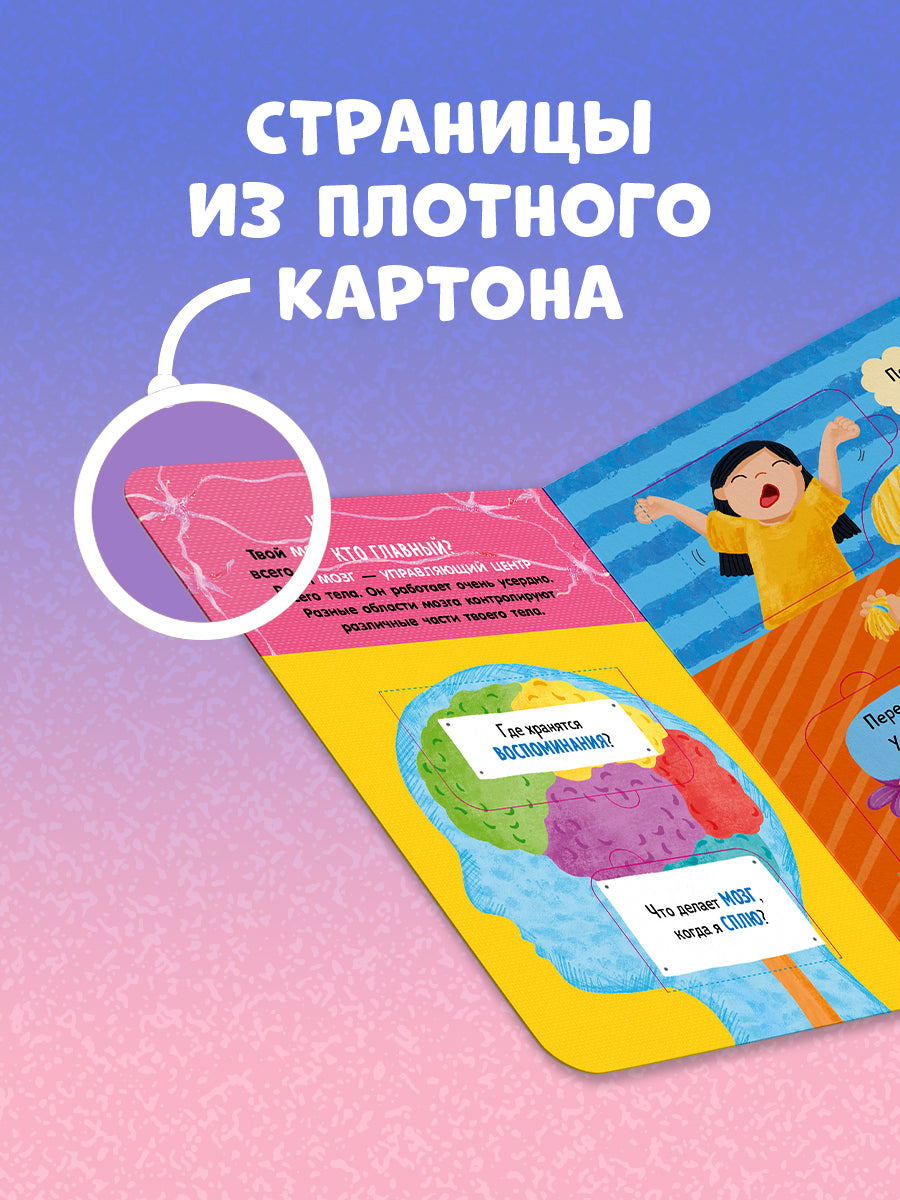 Мосс Рейчел. "Книжка с окошками. Как устроено тело человека. И другие интересные вопросы/Мосс Р.". Клевер