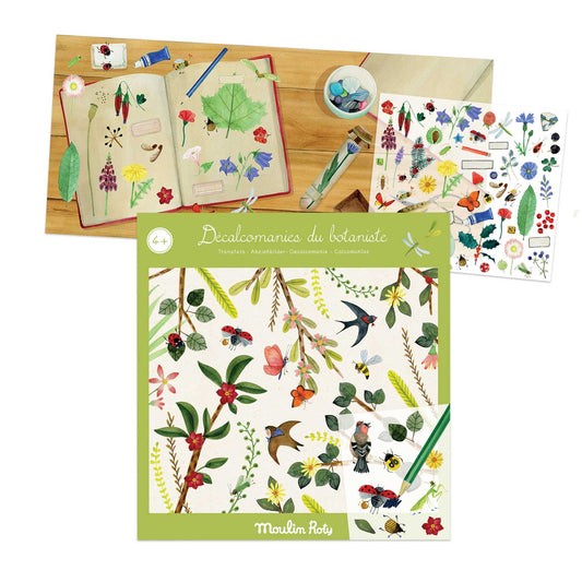 Botanist transfers, Moulin Roty