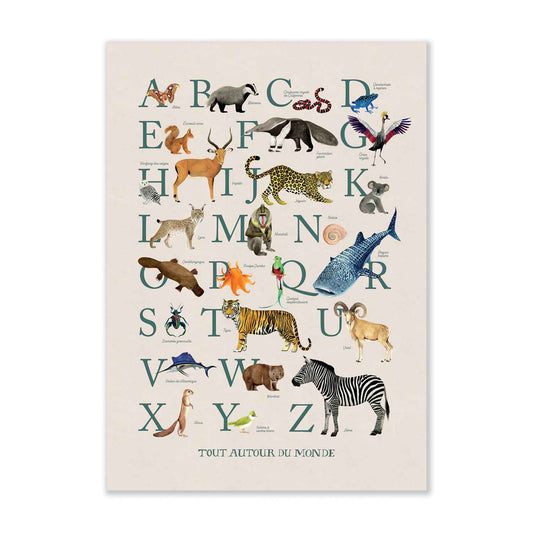 ABC poster 50x70cm, French alphabet