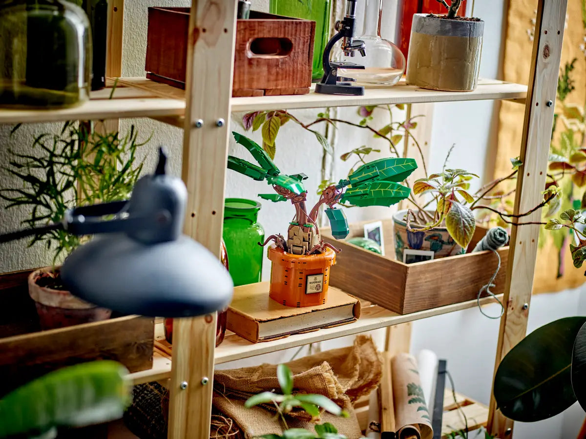 Mandrake, LEGO Harry Potter