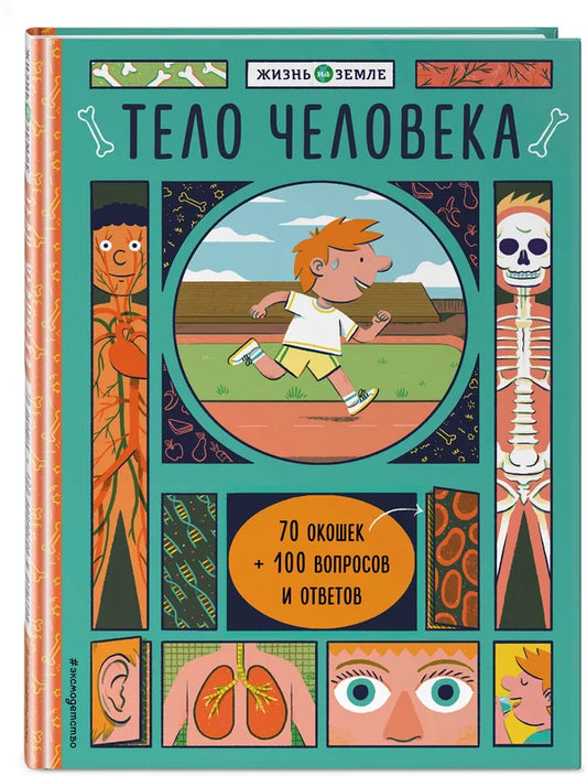 Тело человека (с окошками).