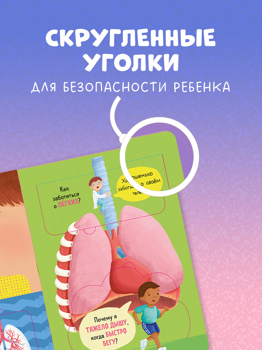 Мосс Рейчел. "Книжка с окошками. Как устроено тело человека. И другие интересные вопросы/Мосс Р.". Клевер