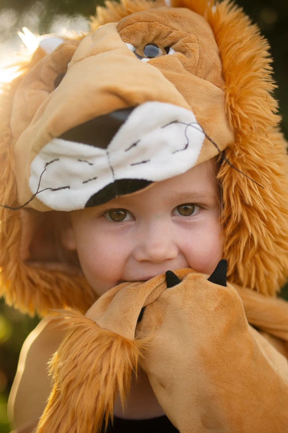 Storybook Lion Costume Cape For Kids 3-7