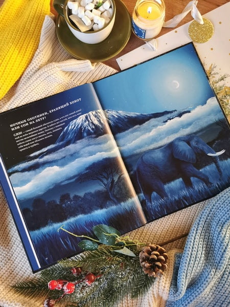 Все ли спят ночью? Завораживающие иллюстрации и удивительные факты ночного мира живой природы. Беатрикс Маннел