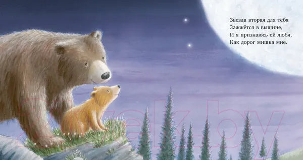 Книжки-картинки. Ярче звезд моя любовь: Оуэн Харт