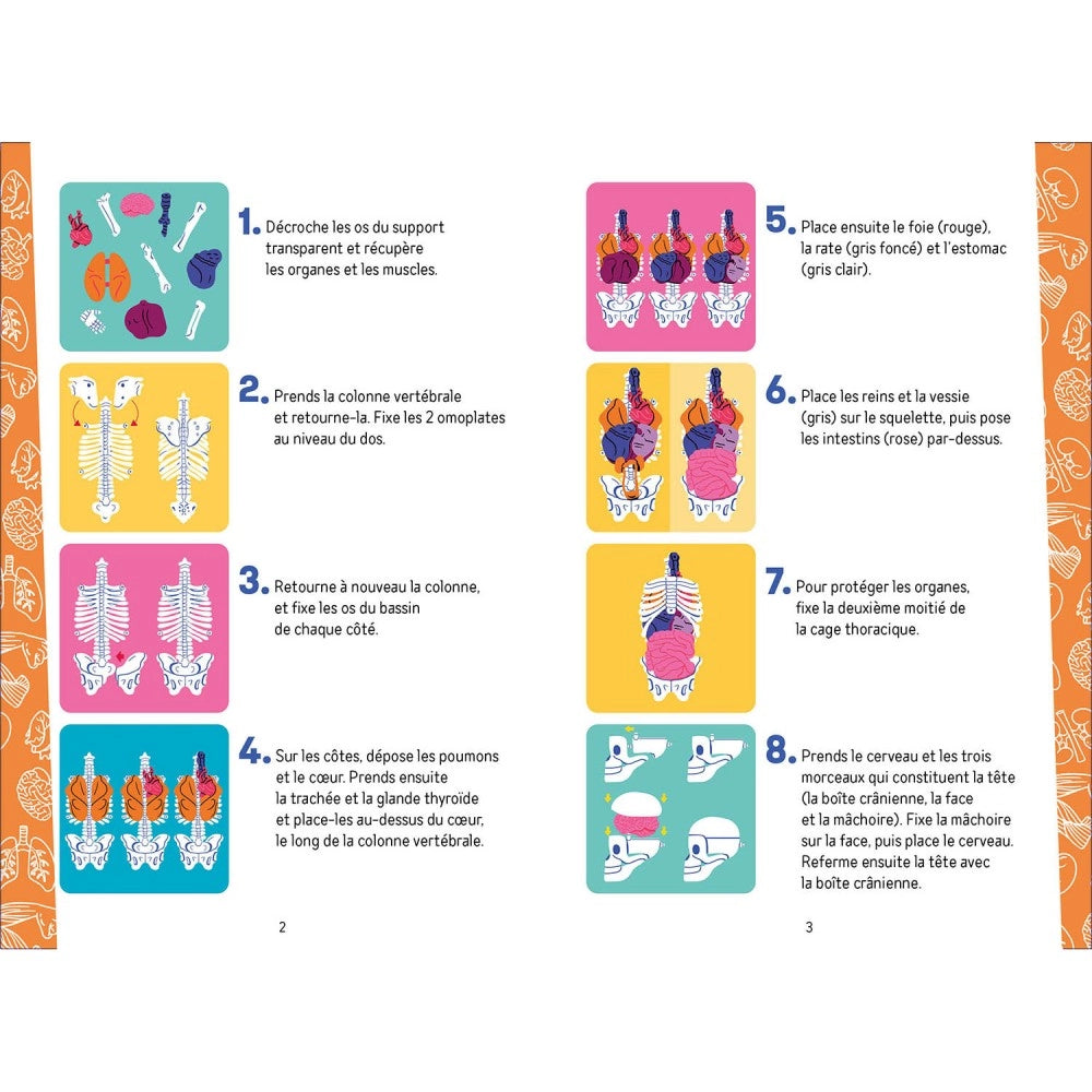 My Activity Box Set - Discovering the Ηuman Βody, AUZOU