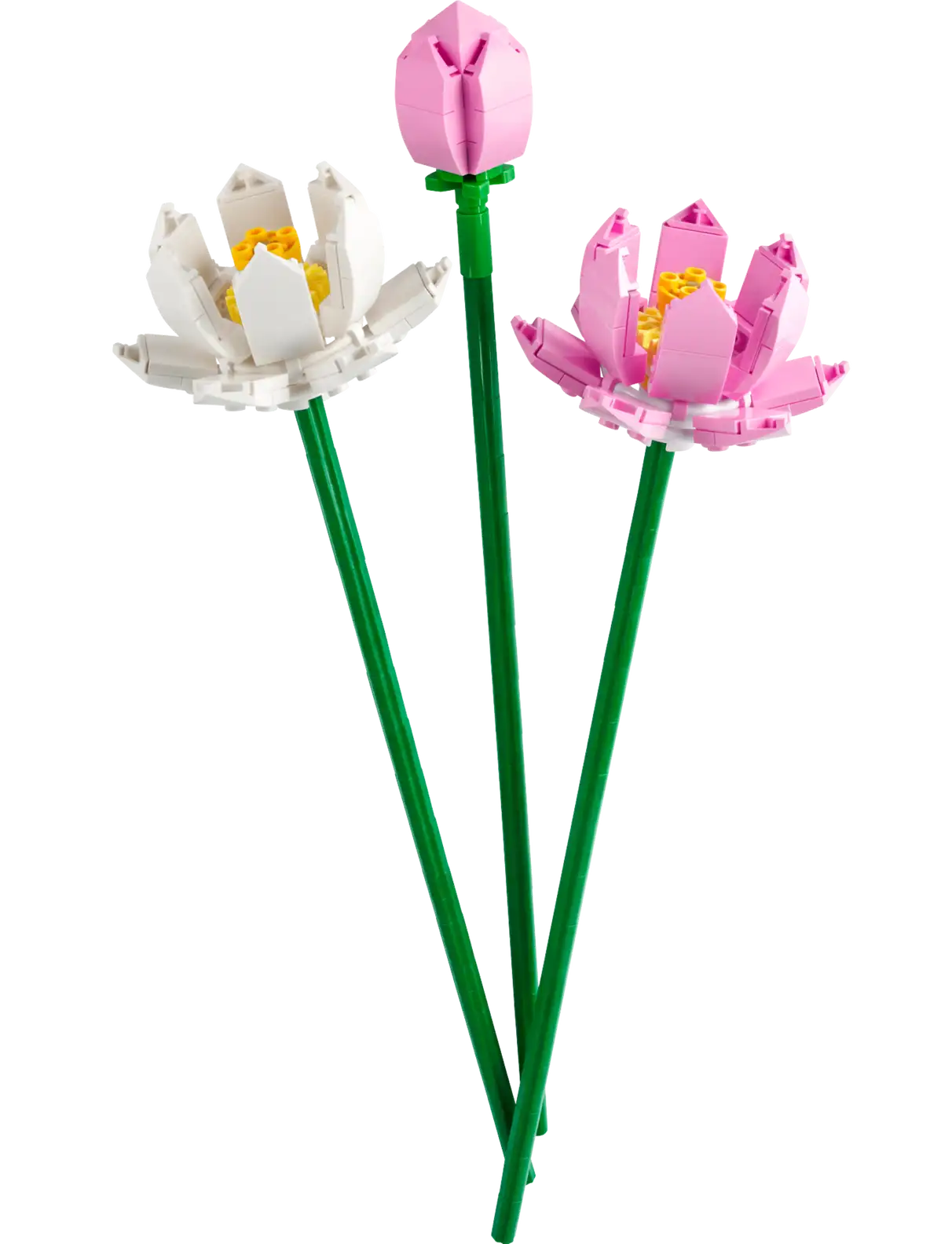 LEGO® Lotus Flowers 40647