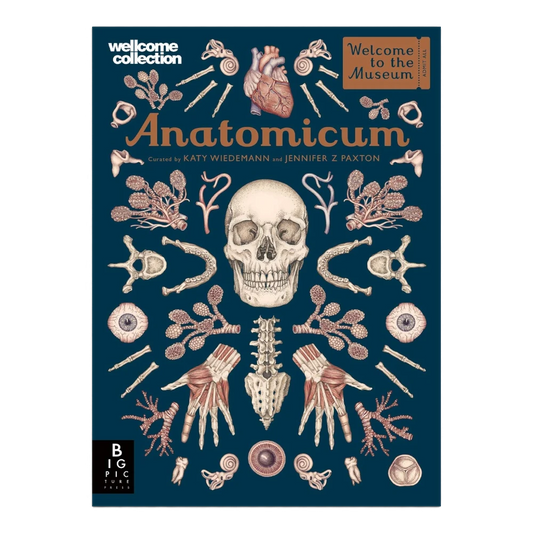 Anatomicum, Hardback for Kids 9+, English Language