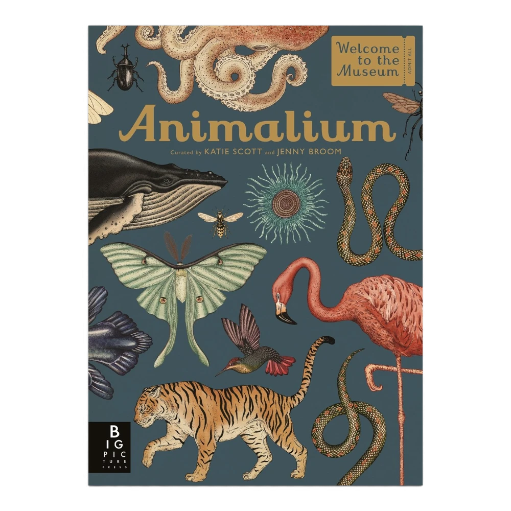 Animalium, Hardback for Kids 7+, English Language