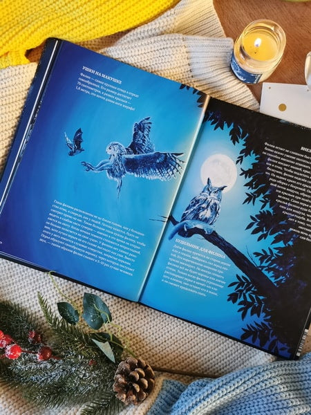 Все ли спят ночью? Завораживающие иллюстрации и удивительные факты ночного мира живой природы. Беатрикс Маннел