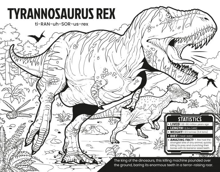Colour Your Own Dinosaurs, Usborne