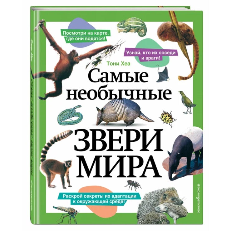 Самые необычные звери мира