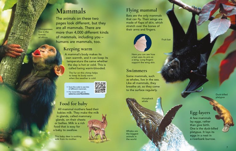 First Encyclopedia Of Animals, Usborne