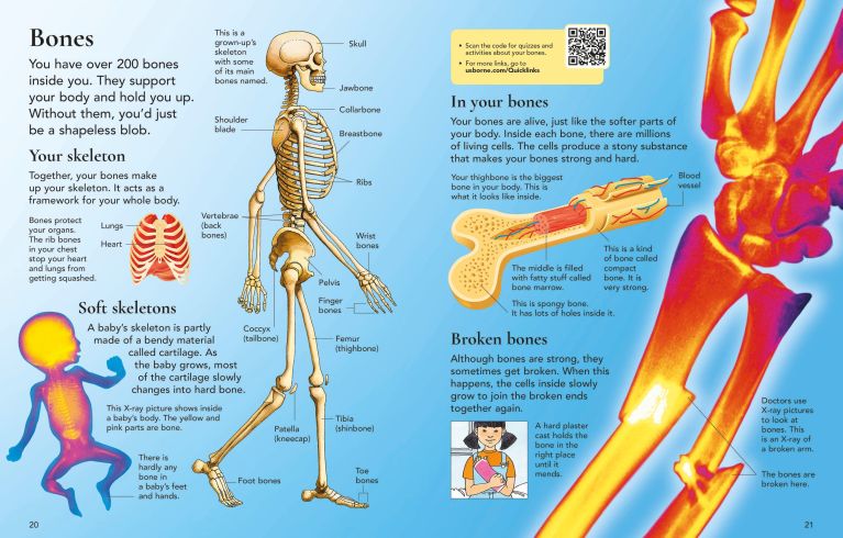 First Encyclopedia Of The Human Body, Usborne