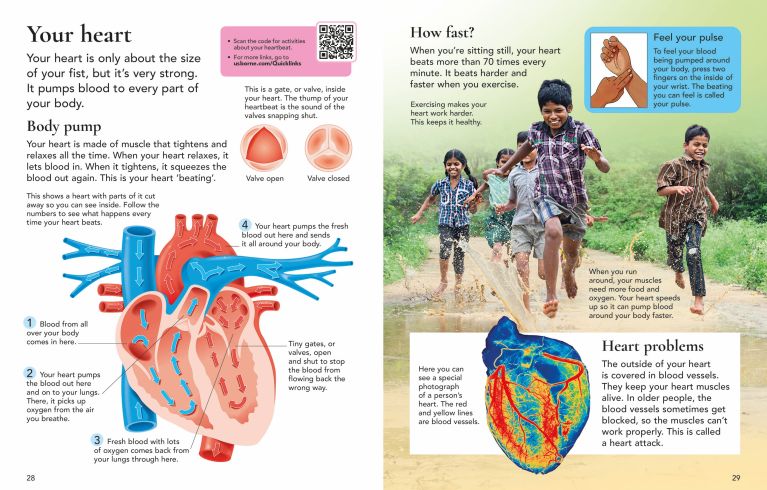 First Encyclopedia Of The Human Body, Usborne
