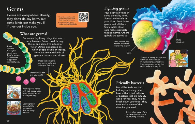 First Encyclopedia Of The Human Body, Usborne