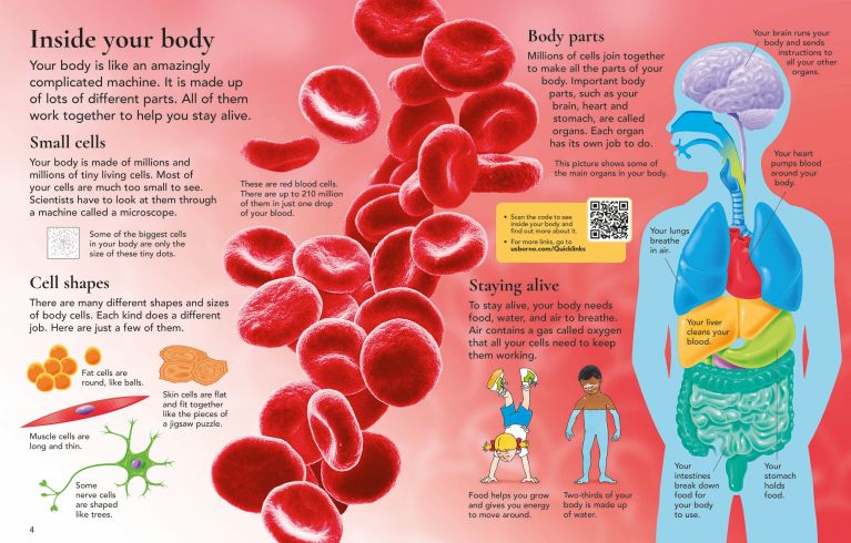 First Encyclopedia Of The Human Body, Usborne