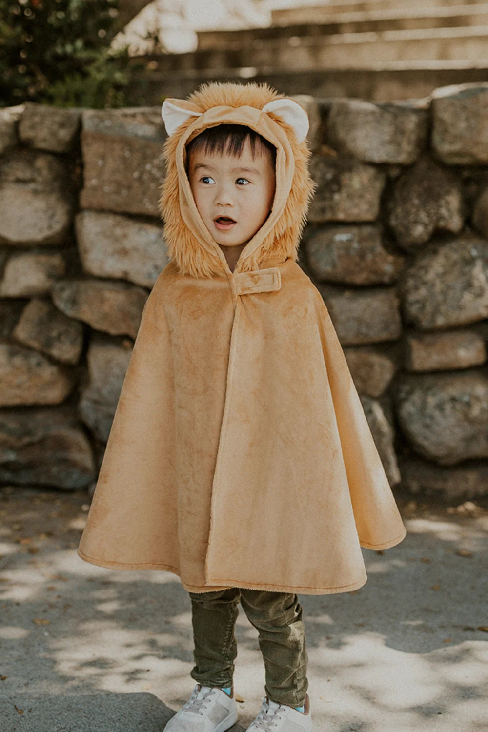 Toddler Lion Costume Cape, For Kids 2-3