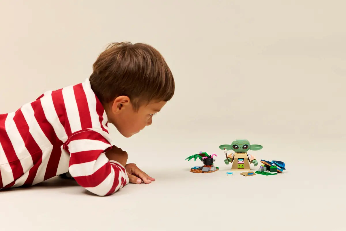 Grogus Homestead 75443, Lego Star Wars