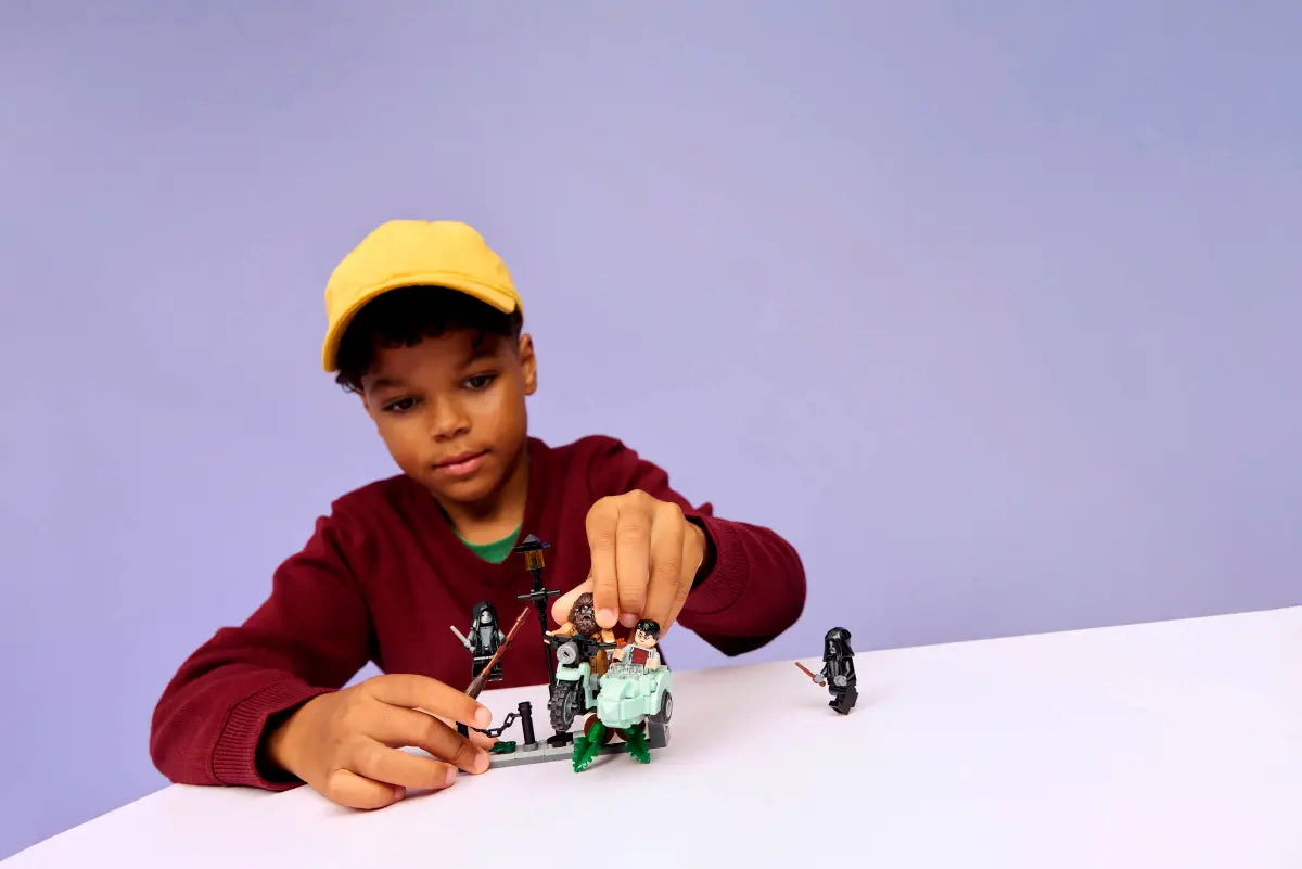 Hagrid™ & Harry's Privet Drive Escape 76459, Lego Harry Potter