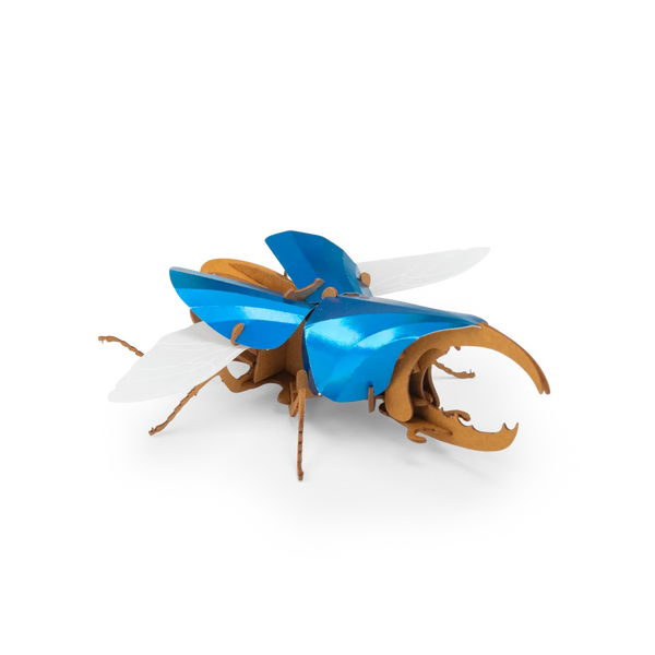 Hercules Beetle 3D Puzzle for 3+: Tout Autour du Monde, Moulin Roty
