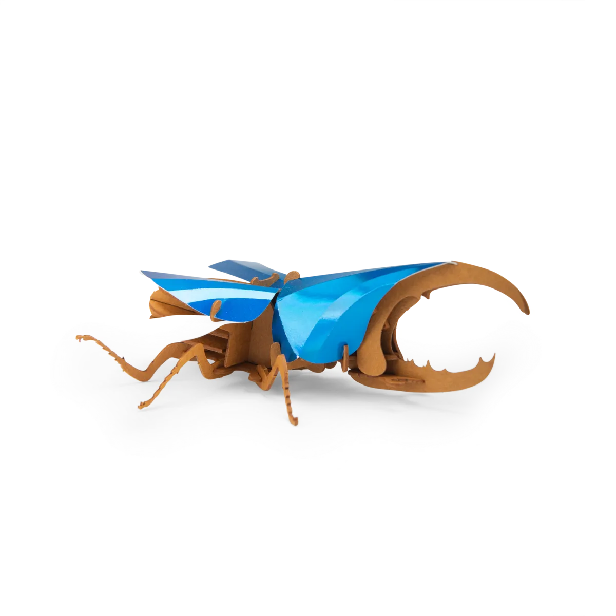 Hercules Beetle 3D Puzzle for 3+: Tout Autour du Monde, Moulin Roty