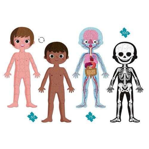 Educational Puzzle Human Body