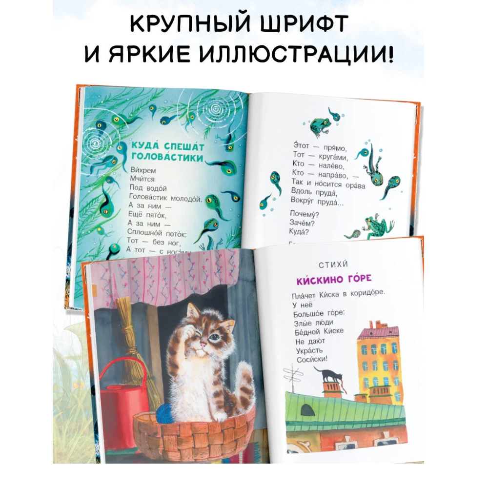 Poetry And Fairy Tale Collection for Kids 5+: Poems And Fairy Tales By Boris Zakhoder (RU), AST