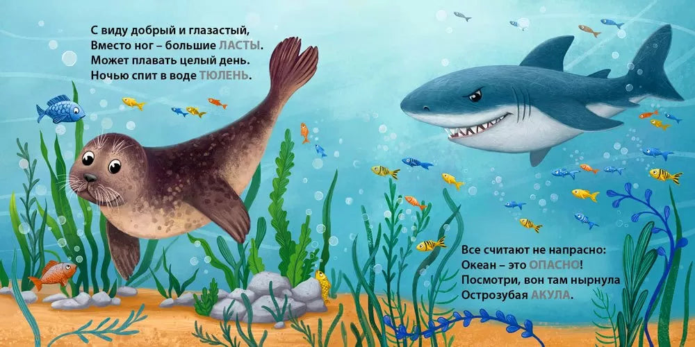 Board Book for Kids 1+: Who Lives in the Water Riddle Rhymes (RU), Robins