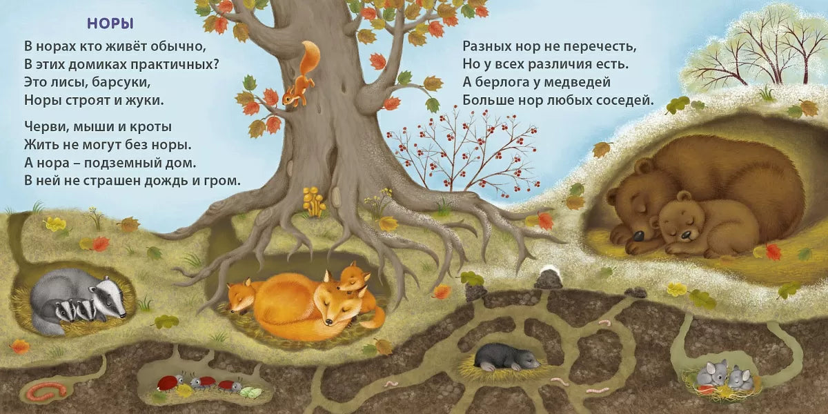 Board Book for Kids 1+: Amazing Animal Homes (RU), Robins